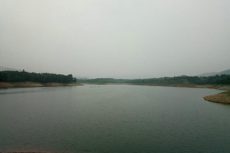 08194952471affdd0f0029.jpg