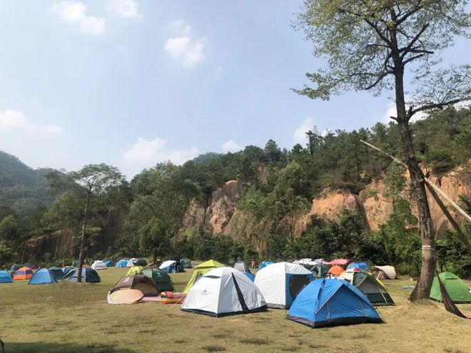 下载 (1).jpg