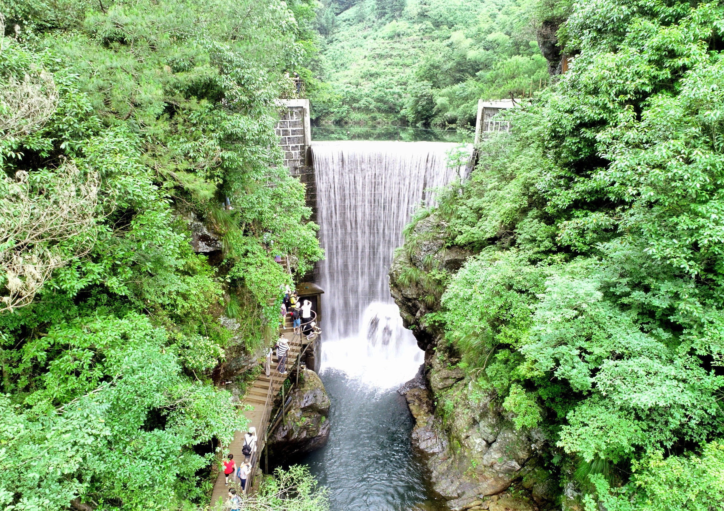 t01678264449a184976.jpg